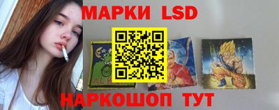 jwh Новозыбков