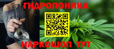 jwh Новозыбков