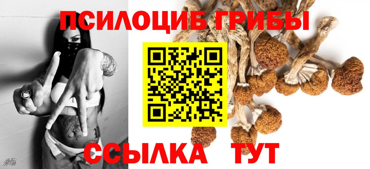Советская Гавань  Галлюциногенные грибы мицелий  Вход с VPN 